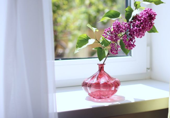 Fensterbank, Blumen